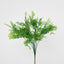 Maidenhair Fern Bush