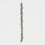 Eucalyptus Garland Dark Green