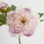Peony Stem With Bud 48cm Light Pink