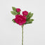 Peony With Two Buds Stem Fuchsia - Pack of 36