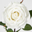Bella Rose Real Touch 68cm White - Pack of 12