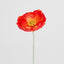 Poppy Stem Red - Pack of 24
