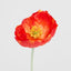 Poppy Stem Red - Pack of 24