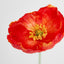 Poppy Stem Red - Pack of 24