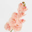 Ripple Phalaenopsis Stem Peach - Pack of 12
