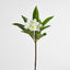Real Touch Frangipani Stem 88cm - Pack of 12