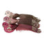 Joule Boxed Set of Three Clip on Birds Pink