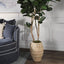 Lyra Planter Set of 2 Antique Finish