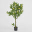 Lemon Tree Real Touch 120cm