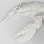 Larry White Lobster