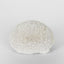 Cove White Sea Urchin 17X18X12CM