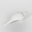 Sara White Sea Snail 23X8X7CM - Pack of 4