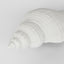 Sara White Sea Snail 23X8X7CM - Pack of 4