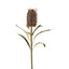 Dried Look Banksia Stem 56cm Brown - Pack of 12