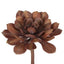 Succulent Large Burg (Set of 12)