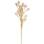 Wheat Flower Stem 75cm White