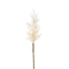 Wheat Astilbe Flower Stem 75cm White