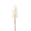 Wheat Astilbe Flower Stem 75cm White (Set of 12)