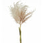 Natural Pampas Spray Stem with Leaves - Pack of 12