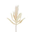 Feather Pampas Stem 87cm Cream