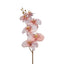 Orchid Single Phalaenopsis Stem 80cm Sunset - Pack of 12