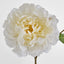 Peony Stem 61cm White - Pack of 16