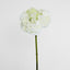 Hydrangea 50cm White