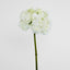 Hydrangea 50cm White