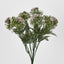Wild Dandelion Bush x 7 Light Pink