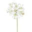 Nerine Lily Stem 61cm White - Pack of 12