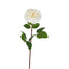 Dried Look English Rose Stem 50cm Cream
