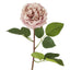 Dried Look English Rose Stem 50cm Pink - Pack of 12