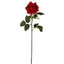 Belle Real Touch Rose Stem 65cm Red - Pack of 12