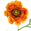 Ranunculus Stem 56cm Orange - Pack of 12