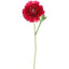 Ranunculus Stem 56cm Dark Pink - Pack of 12