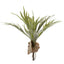 Staghorn leaf spray 40cm