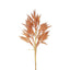 Wheat Stem 66cm Apricot - Pack of 12