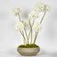 Cleo Arrangement White