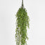 Hanging Ruscus Bush - Pack of 6