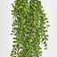 Hanging Ruscus Bush - Pack of 6