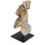 Rashi Wooden Horse Head Large