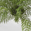 Fern in Magnesia Pot 71cm