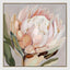 Protea Wall Art A