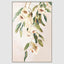 Eucalyptus Wall Art A