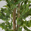 Ficus Tree 160cm