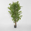 Ficus Tree 160cm