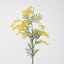 Australian Wattle 85cm Yellow - Pack of 12