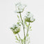 Queen Anne's Lace Spray White - Pack of 12