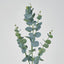 Eucalyptus Spray 97cm - Pack of 12