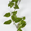 Pothos Garland UV Protected 150cm Green (Set of 6)